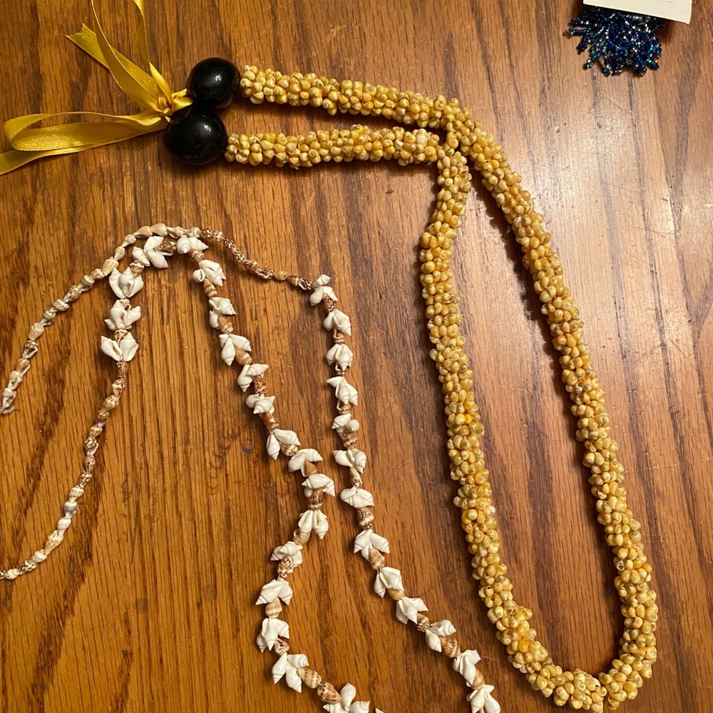 Collection of necklaces and earrings from Disney Parks-